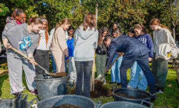 Alumnos de Torrejón plantan un madroño para conmemorar el 46 aniversario de la Constitución