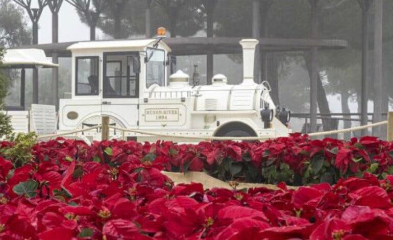 2.200 flores de Pascua, iluminación navideña y un tren gratuito para recorrer el tercer parque más grande de Madrid