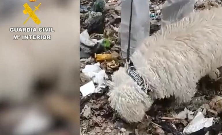 Continúa en Loeches la búsqueda de más restos del bebé arrojado a la basura