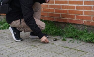 Alcalá de Henares tramitó 206 multas por el ADN canino en 2024