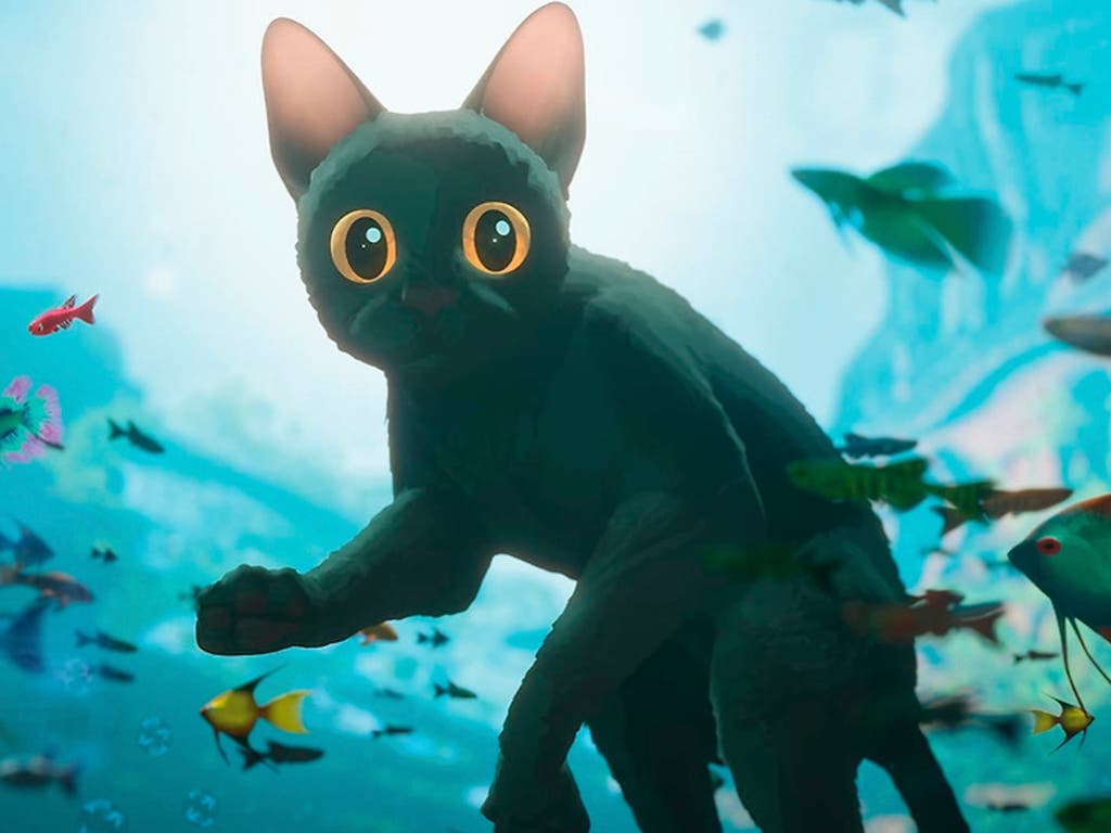 Cinesa ofrece un preestreno solidario de «Flow: un mundo que salvar» en apoyo a los animales afectados por la DANA