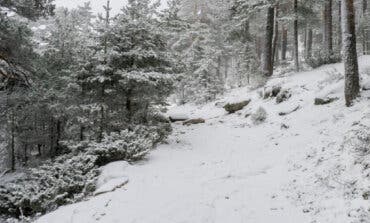 Activado el aviso amarillo por nevadas en Madrid: se esperan hasta cinco centímetros de nieve en la Sierra