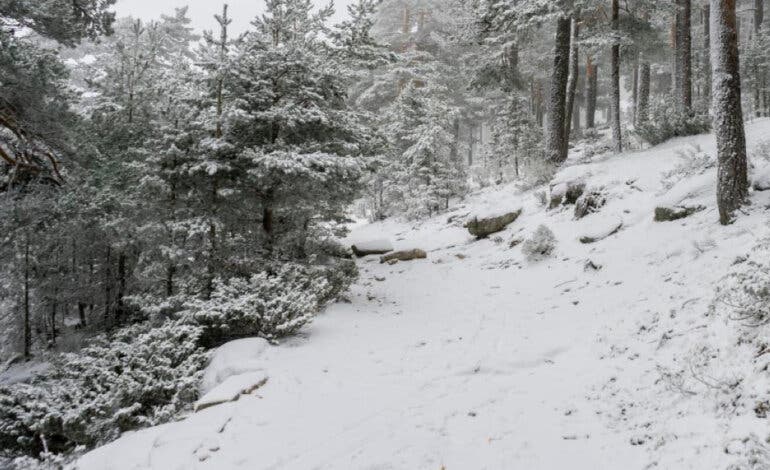 Activado el aviso amarillo por nevadas en Madrid: se esperan hasta cinco centímetros de nieve en la Sierra