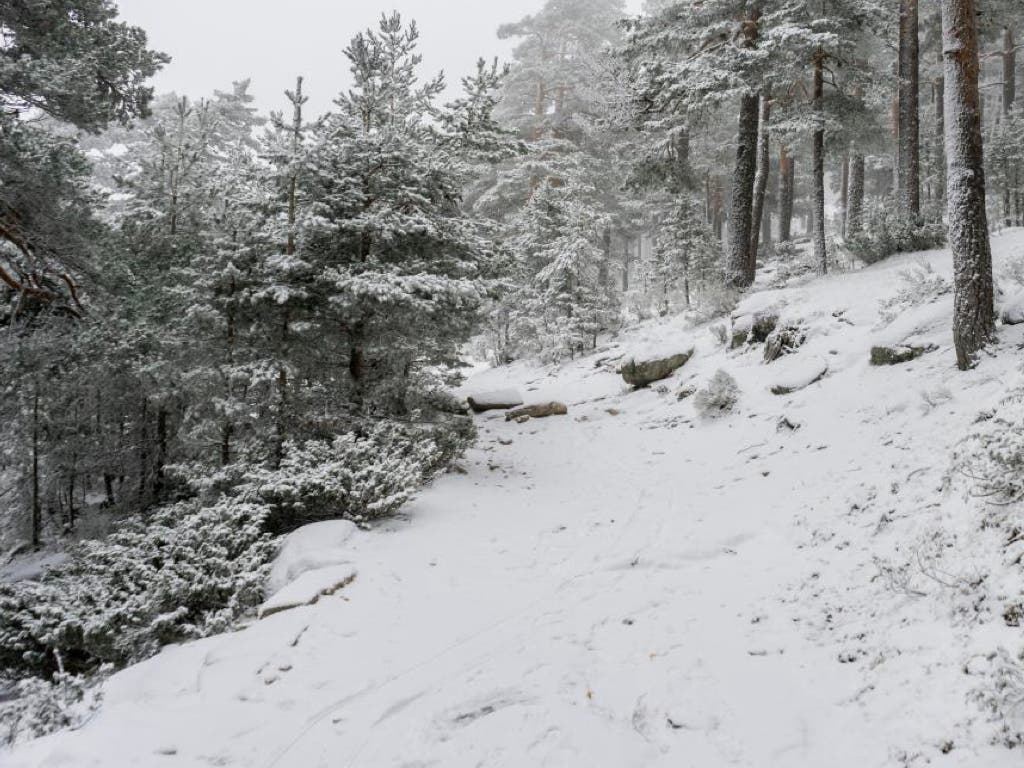 Activado el aviso amarillo por nevadas en Madrid: se esperan hasta cinco centímetros de nieve en la Sierra
