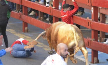 Un herido por asta de toro en el último encierro blanco de San Sebastián de la Reyes
