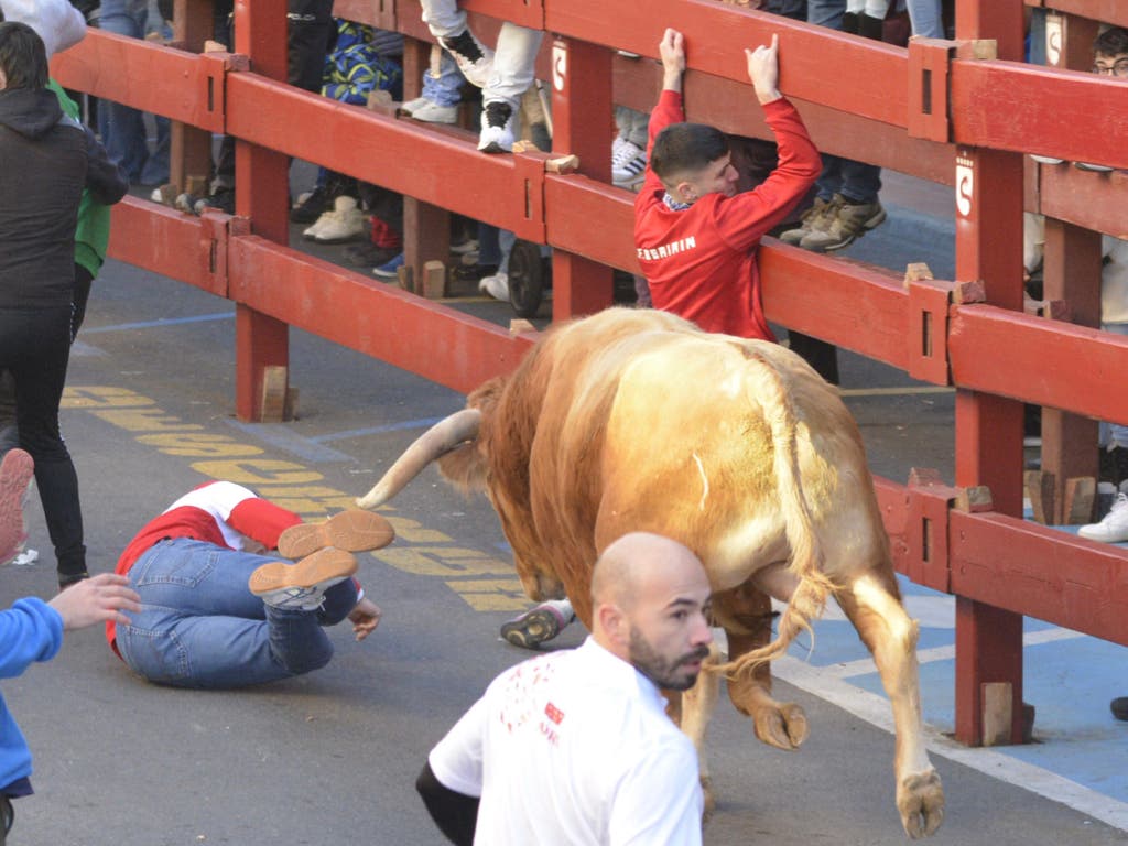 Un herido por asta de toro en el último encierro blanco de San Sebastián de la Reyes