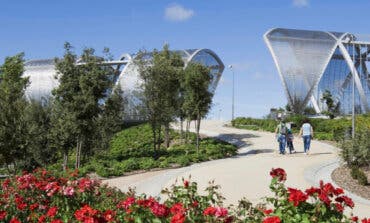 Madrid Río y el parque lineal del Manzanares sumarán 270 árboles y más de 10.000 arbustos