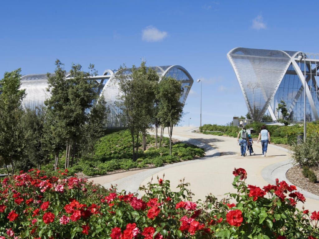 Madrid Río y el parque lineal del Manzanares sumarán 270 árboles y más de 10.000 arbustos