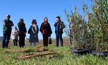 Alcalá de Henares contará con 2.200 nuevos árboles en el norte de la ciudad 