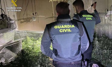 Desmantelada en Guadalajara una plantación de marihuana que dejó sin luz a los vecinos