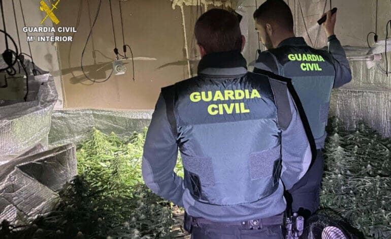 Desmantelada en Guadalajara una plantación de marihuana que dejó sin luz a los vecinos