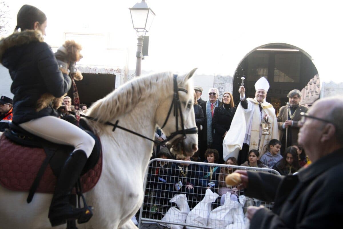 Alcalá de Henares celebra este domingo la tradicional bendición de animales de San Antón