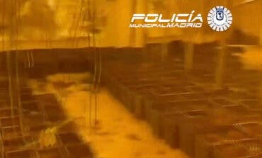 Desmantelada una plantación de marihuana indoor en la Cañada Real