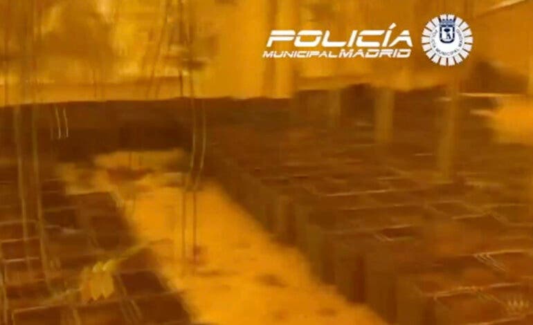 Desmantelada una plantación de marihuana indoor en la Cañada Real