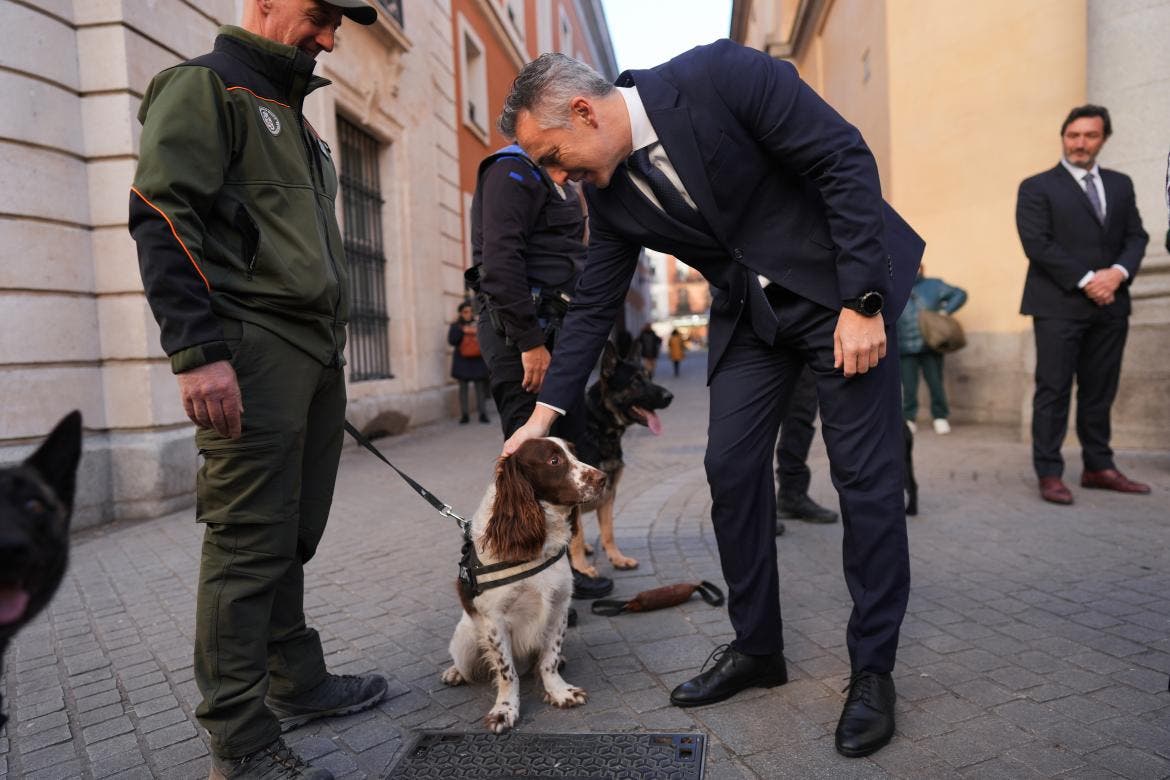 La Comunidad de Madrid, reconocida por el trabajo de sus unidades caninas tras la DANA de Valencia