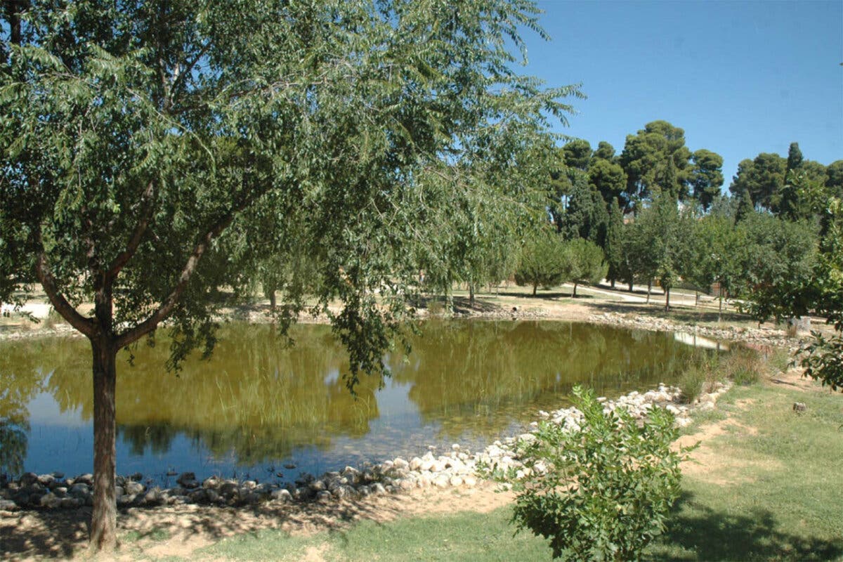 Azuqueca acomete la limpieza integral de la laguna del mayor parque de la localidad 