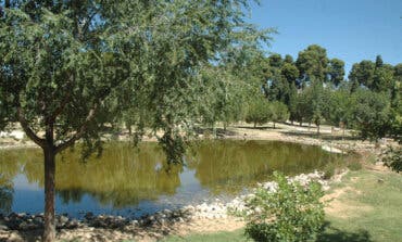 Azuqueca acomete la limpieza integral de la laguna del mayor parque de la localidad 