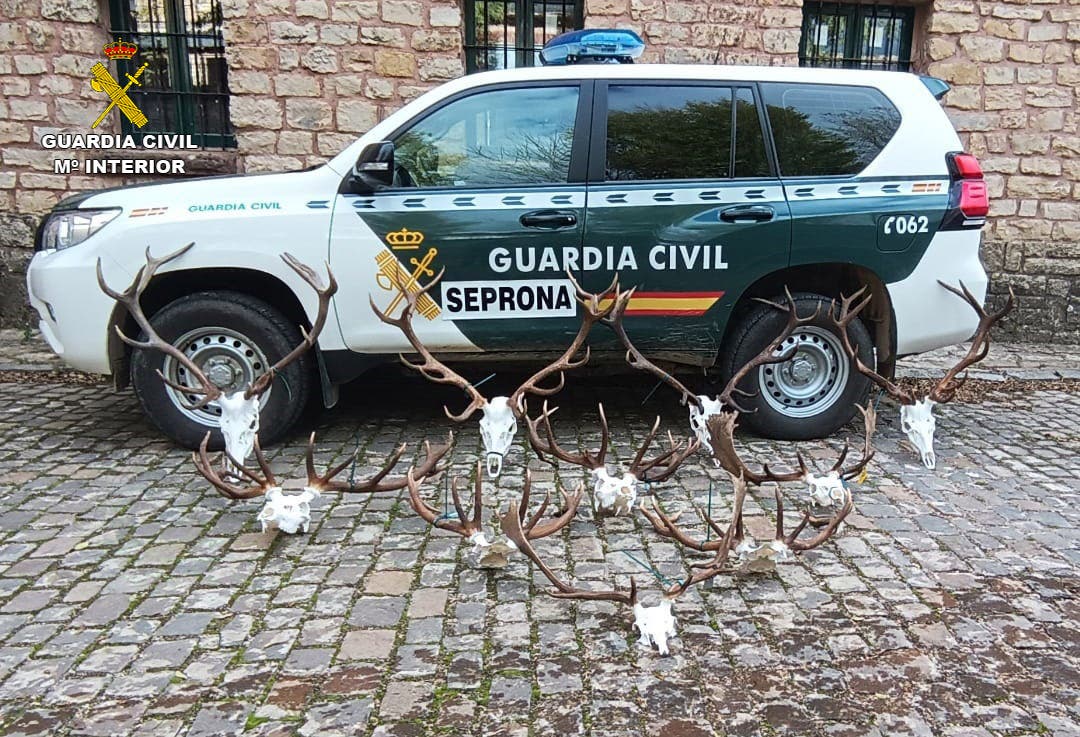 Dos investigados en Guadalajara por un delito de caza ilegal