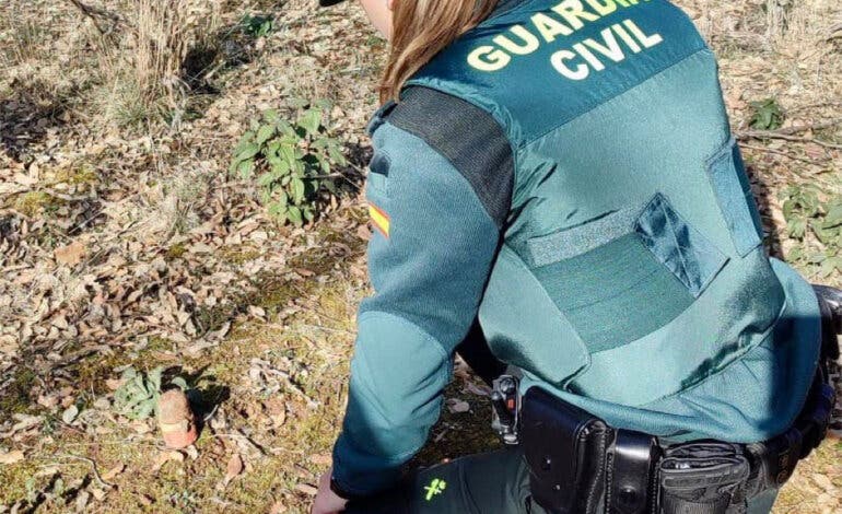 Un senderista encuentra en Guadalajara una granada de mano de la guerra civil con su carga intacta  