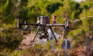 Madrid comienza a utilizar drones contra la oruga procesionaria del pino