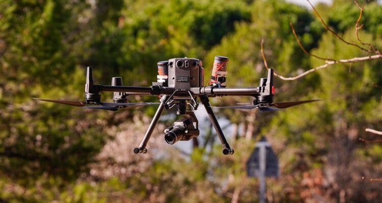 Madrid comienza a utilizar drones contra la oruga procesionaria del pino