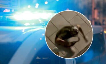 «El Jabato», otra vez en libertad tras 84 robos en Alcalá de Henares