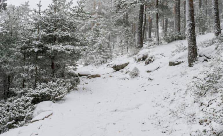 Activado el aviso amarillo por nieve para este sábado en la Sierra de Madrid