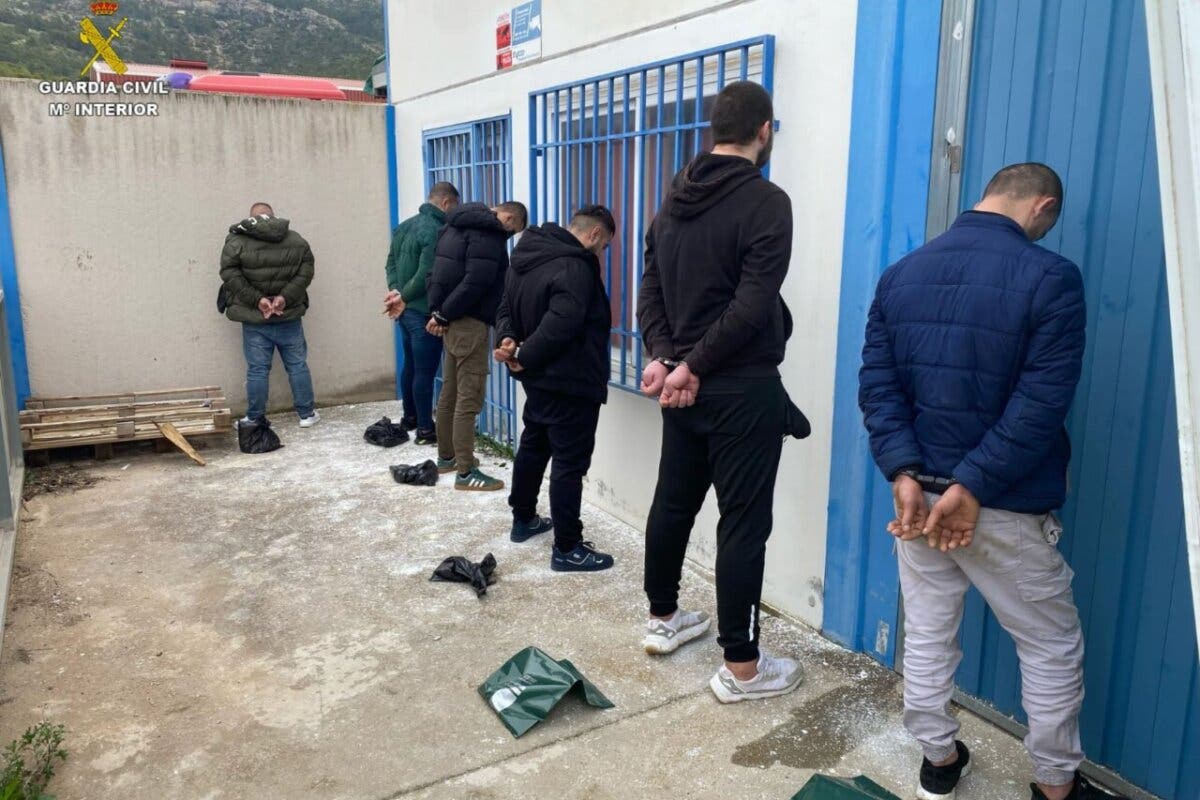 Ocho detenidos en Guadalajara tras desmantelar una plantación de marihuana con 1.051 plantas