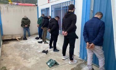 Ocho detenidos en Guadalajara tras desmantelar una plantación de marihuana con 1.051 plantas