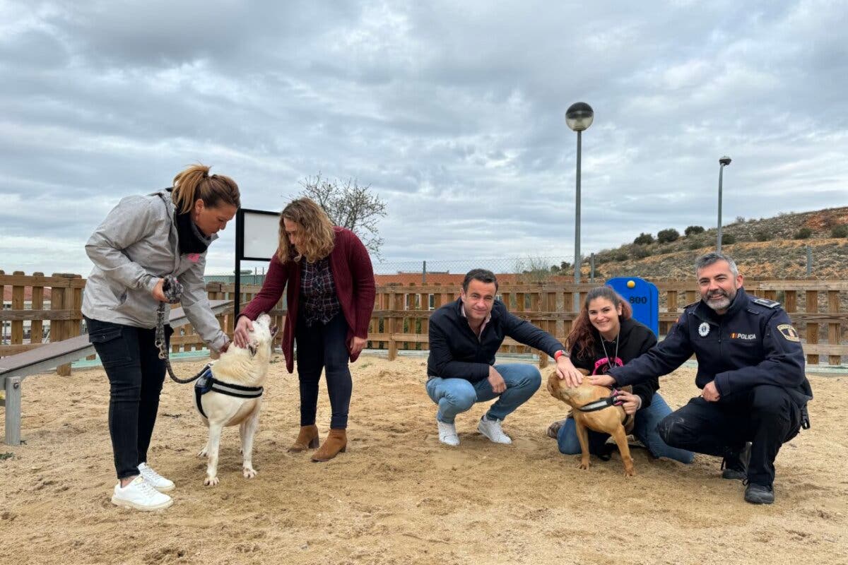 Campo Real busca hogar para 23 perros adultos y 6 cachorros rescatados por la Policía Local