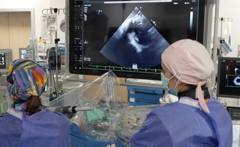 La sanidad de Madrid, pionera en España en usar la ecografía 4D para hacer cirugías sin corazón abierto
