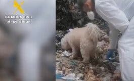 El bebé hallado en la planta de reciclaje de Loeches era una niña y murió de forma violenta 