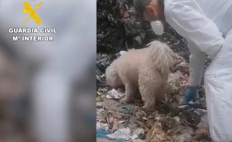 El bebé hallado en la planta de reciclaje de Loeches era una niña y murió de forma violenta 