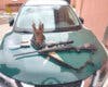 Dos detenidos por caza furtiva en Guadalajara con un rifle con visor térmico y una cabeza de corzo