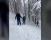Rescatados en Navacerrada un esquiador desorientado y una mujer que chocó su trineo contra un árbol 