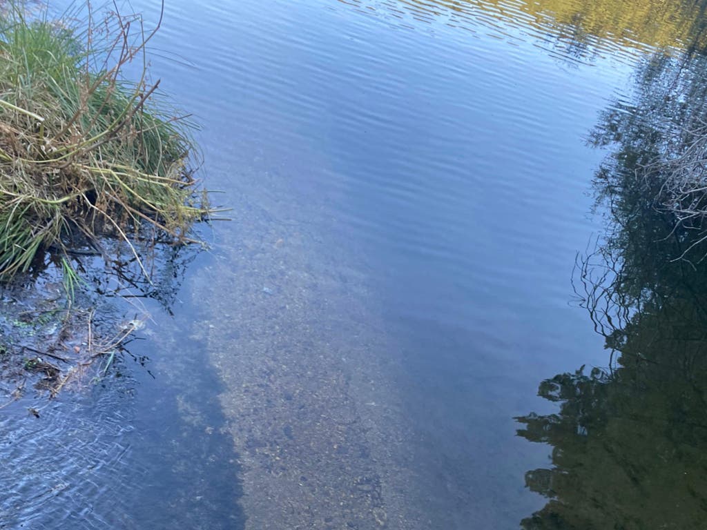 Torrejón de Ardoz recomienda evitar las zonas próximas a la ribera del río Henares