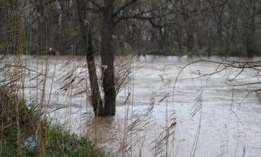 La Comunidad de Madrid eleva el nivel de alerta por riesgo de inundaciones en el entorno de los ríos Henares, Jarama y Alberche