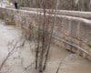 Carreteras cortadas, clases suspendidas en universidades y se pide evitar desplazamiento por la lluvia en Madrid