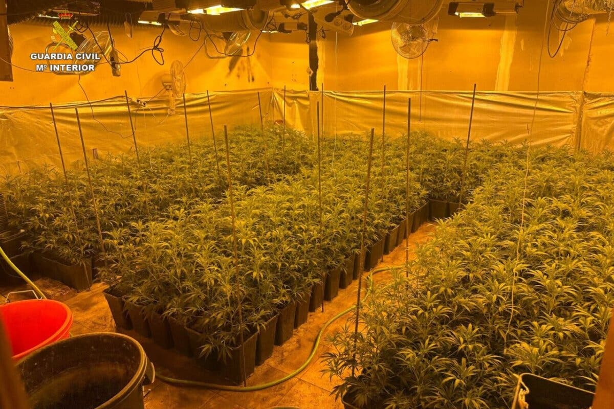 La Guardia Civil descubre una plantación de marihuana en una vivienda de El Casar al ir a comprobar una señal de alarma 