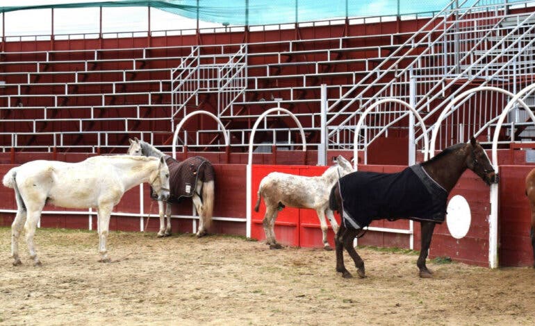 Las personas y animales evacuados en Mejorada del Campo podrán volver a sus casas a partir de mañana 
