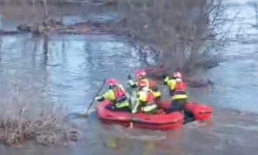 Rescatan en Alcalá de Henares a varios animales que habían quedado aislados en una finca inundada
