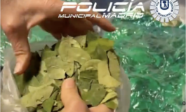 Detenido un frutero en Madrid que vendía hojas de coca a sus clientes 