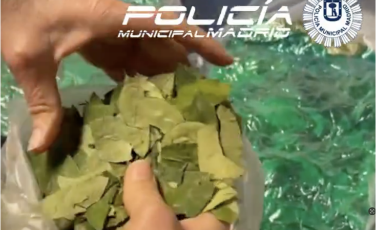 Detenido un frutero en Madrid que vendía hojas de coca a sus clientes 