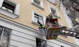 Los Bomberos rescatan a una cría de pavo real de una ventana en Madrid