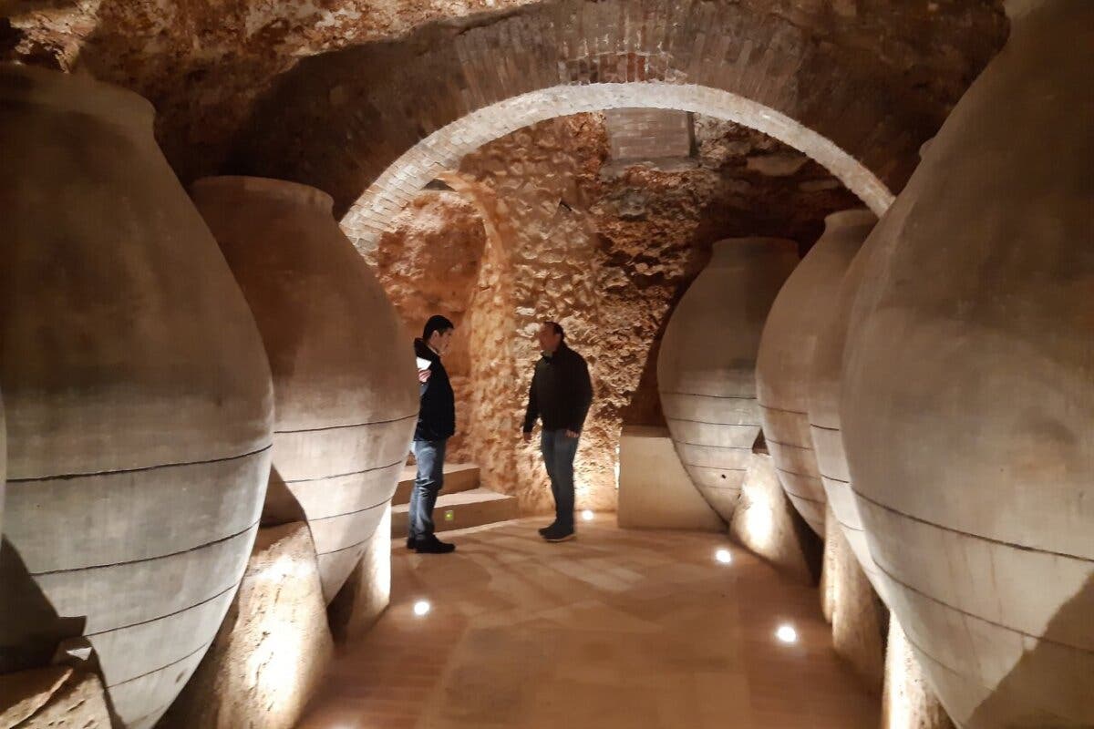 Ruta del Vino en tren: Renfe Cercanías te lleva a descubrir tres bodegas de la Comunidad de Madrid