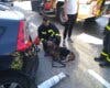 Logran estabilizar con oxígeno a un perro rescatado en el incendio de una vivienda en Algete