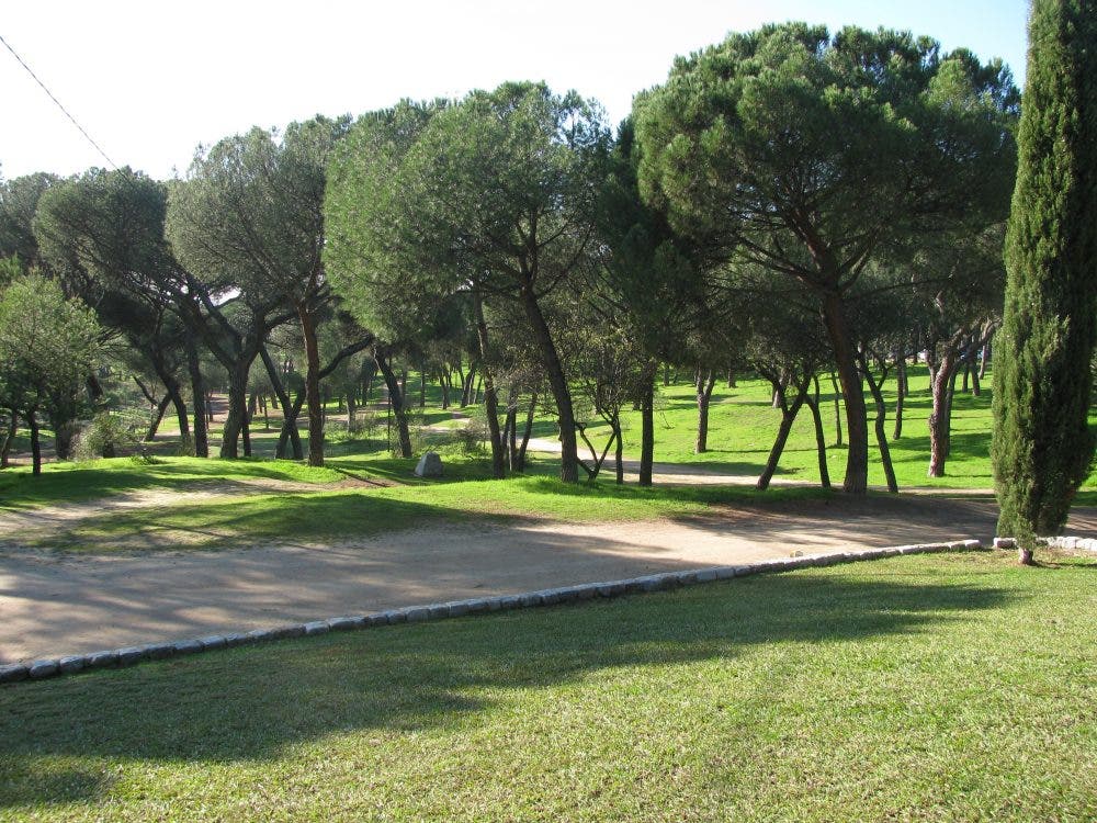 Un niño, hospitalizado en Madrid tras ser mordido por una serpiente en el parque de la Dehesa de la Villa