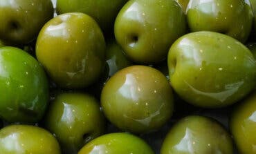 Campo Real, cuna de una aceituna única y con siglos de tradición