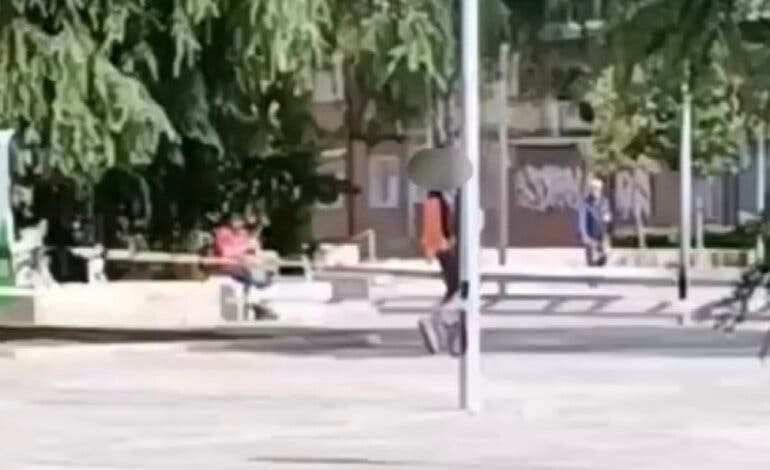 Denuncian el exterminio de cotorras a tiros en parques de Alcalá de Henares