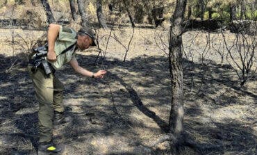 La Comunidad de Madrid reclama los gastos de extinción al presunto autor de un incendio forestal que arrasó 200 hectáreas el verano pasado